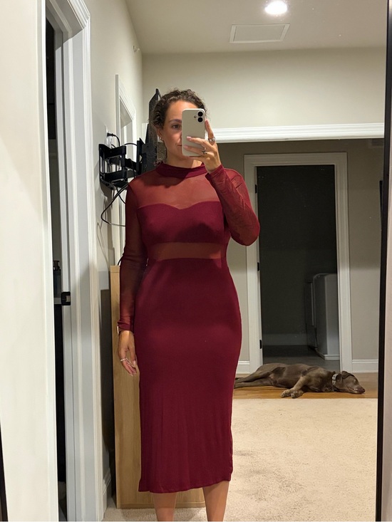 Petal & Pup Dresses & Skirts - Petal & Pup Burgundy Sheer-Panel Long Sleeve Midi Dress